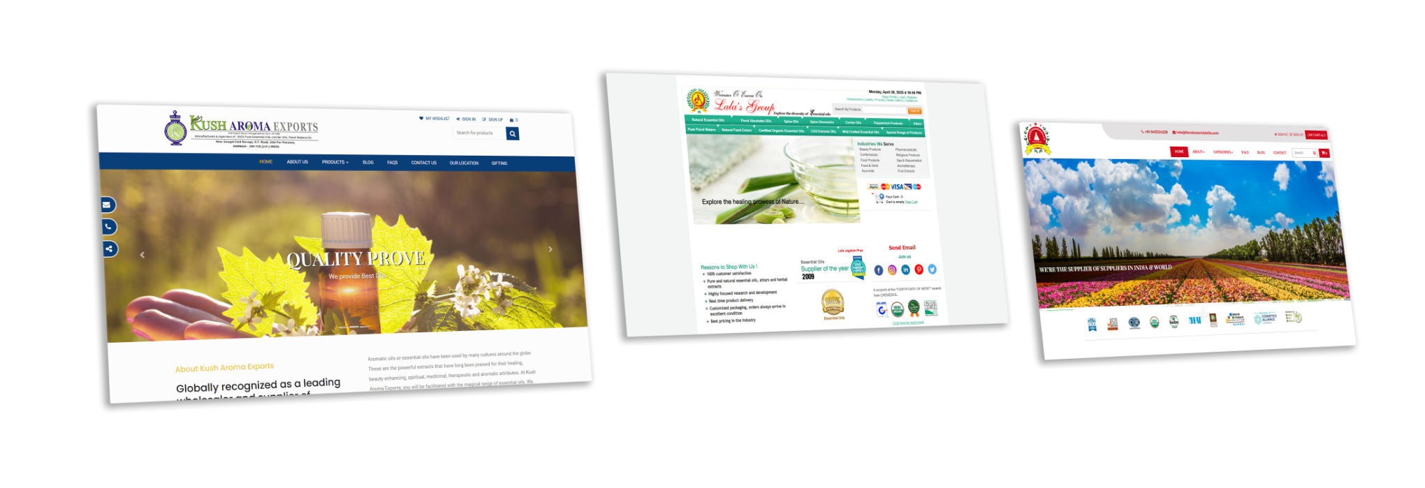 Case Study Image